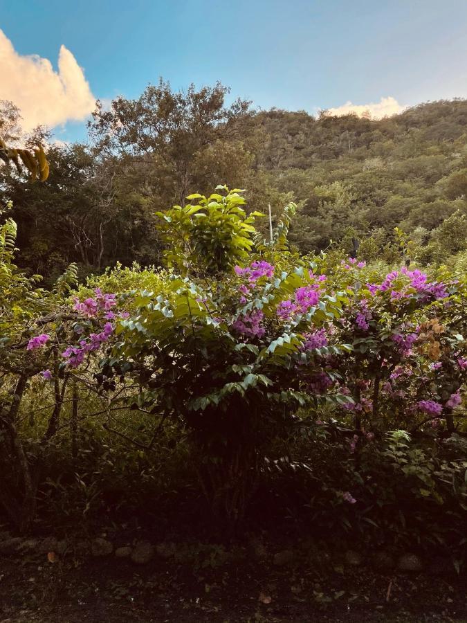 Residence Sucrerie Motel - Les Anses-D'Arlets - Martinique 外观 照片