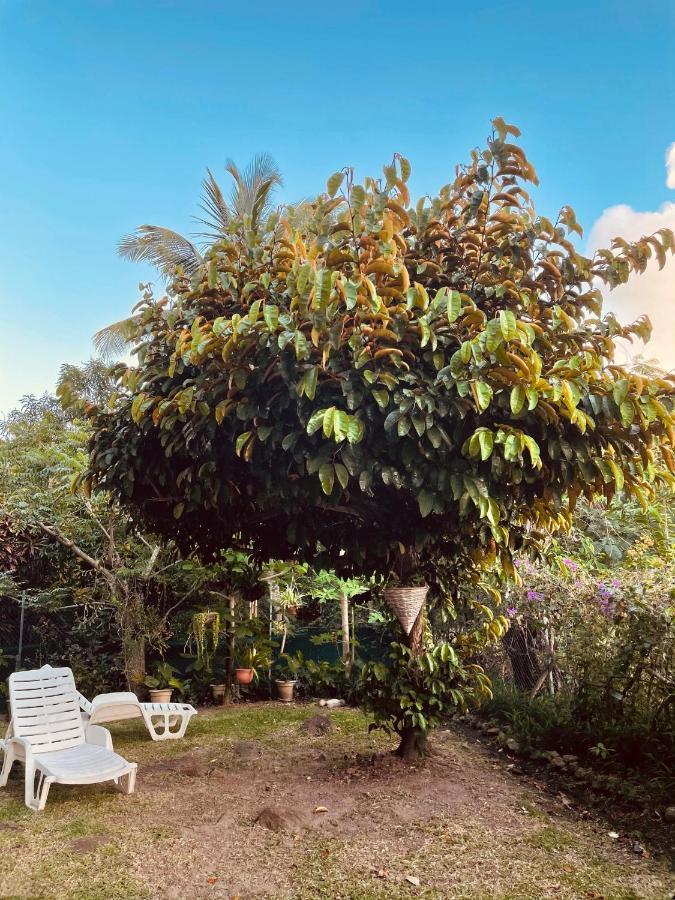 Residence Sucrerie Motel - Les Anses-D'Arlets - Martinique 外观 照片